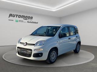 FIAT Panda FIAT PANDA 1.0 VAN 4 POSTI N1