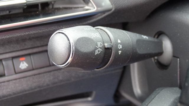 PEUGEOT 5008 usata 96
