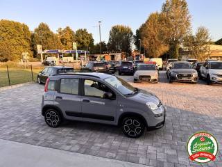 FIAT Panda usata, con Cerchi in lega