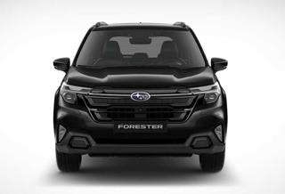 SUBARU Forester usata, con Alzacristalli elettrici