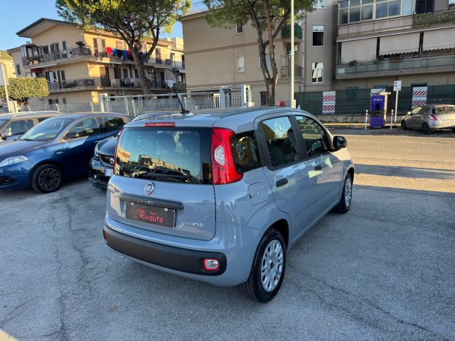 FIAT Panda usata, con Airbag Passeggero