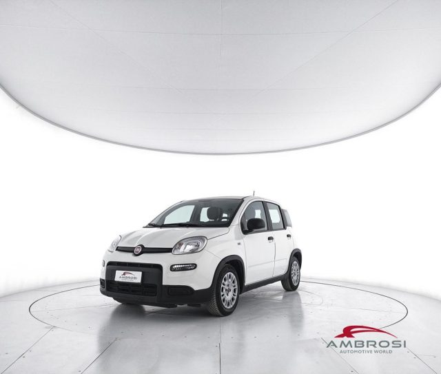 FIAT Panda usata 0