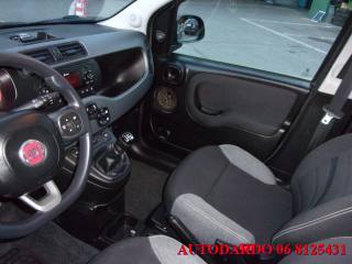 FIAT Panda usata, con Airbag testa