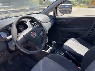 FIAT Punto usata, con Fendinebbia
