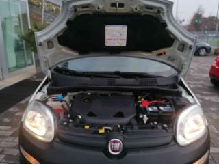 FIAT Panda usata 18
