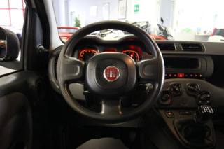 FIAT Panda usata, con Servosterzo
