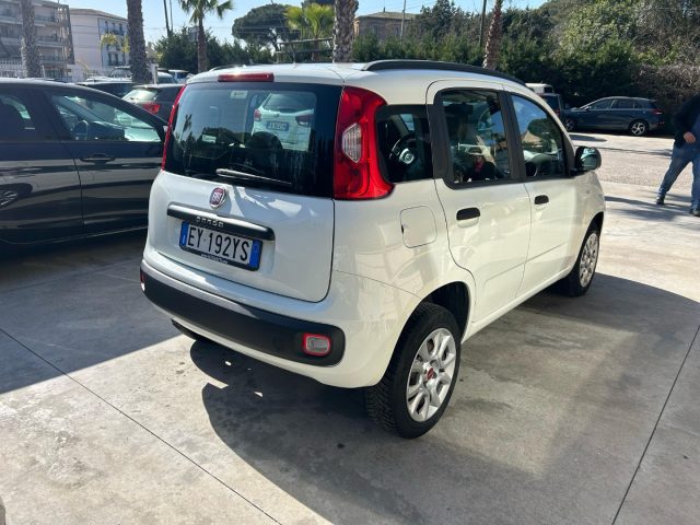 FIAT Panda usata, con Alzacristalli elettrici