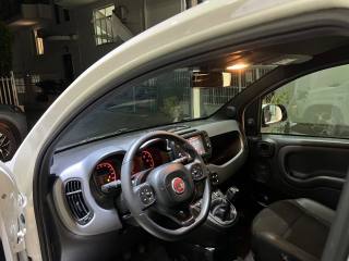 FIAT Panda usata, con Airbag testa