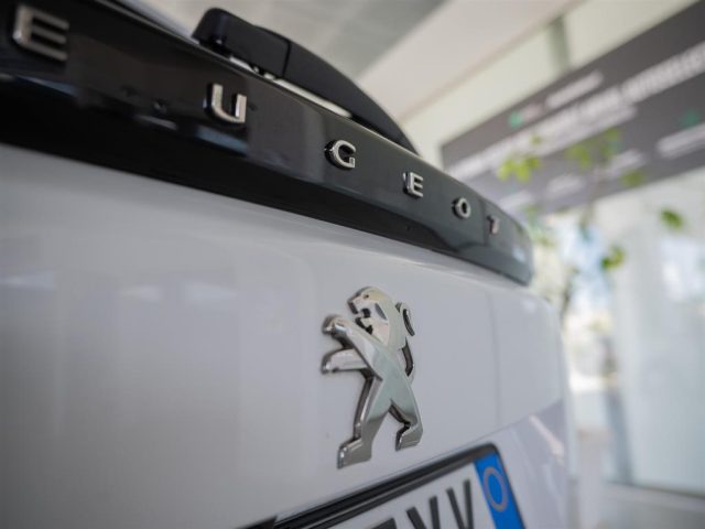 PEUGEOT 2008 usata, con Climatizzatore