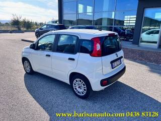FIAT Panda usata, con Alzacristalli elettrici