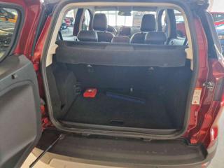 FORD EcoSport usata, con Fendinebbia