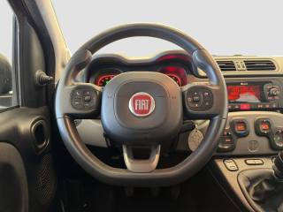 FIAT Panda usata 11