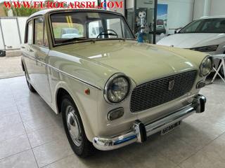 FIAT 1100 usata 2