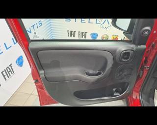 FIAT New Panda usata 24