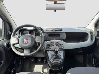 FIAT Panda usata 11