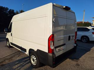 FIAT Ducato usata, con Servosterzo