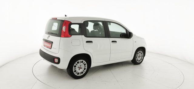 FIAT Panda usata 52