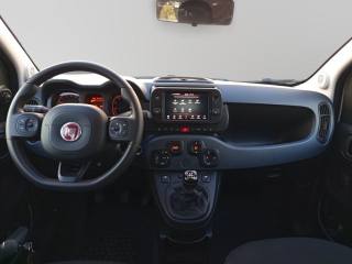 FIAT Panda Cross usata 17