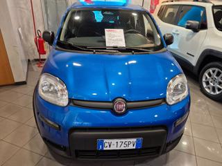 FIAT Panda 1.0 FireFly S&S Hybrid Pandina