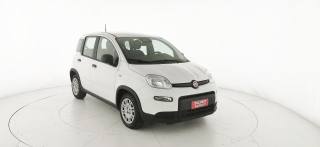 FIAT Panda usata 24