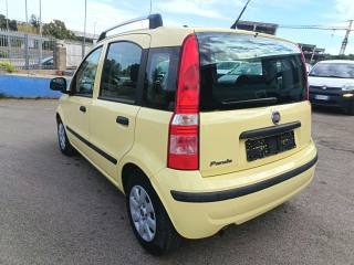 FIAT Panda usata 5