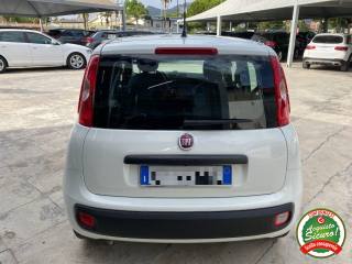 FIAT Panda usata, con Boardcomputer