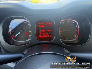 FIAT Panda usata, con Controllo trazione