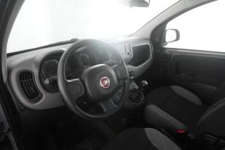 FIAT Panda usata 7