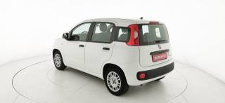 FIAT Panda usata 42