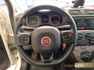 FIAT Panda usata 22