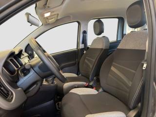 FIAT Panda usata 8