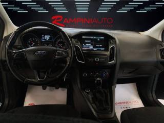 FORD Focus usata 13