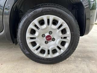 FIAT Panda usata 34