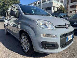 FIAT Panda usata, con Boardcomputer