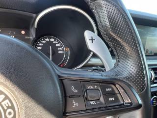 ALFA ROMEO Stelvio usata, con Cronologia tagliandi