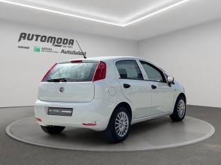 FIAT Punto usata, con Chiusura centralizzata