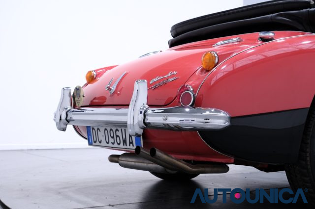 AUSTIN Healey usata 13