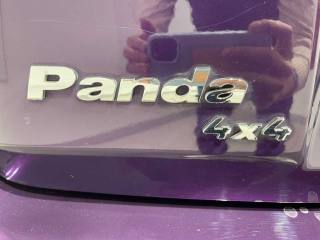 FIAT Panda usata 24