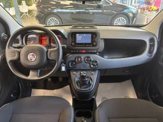 FIAT Panda usata, con Fendinebbia