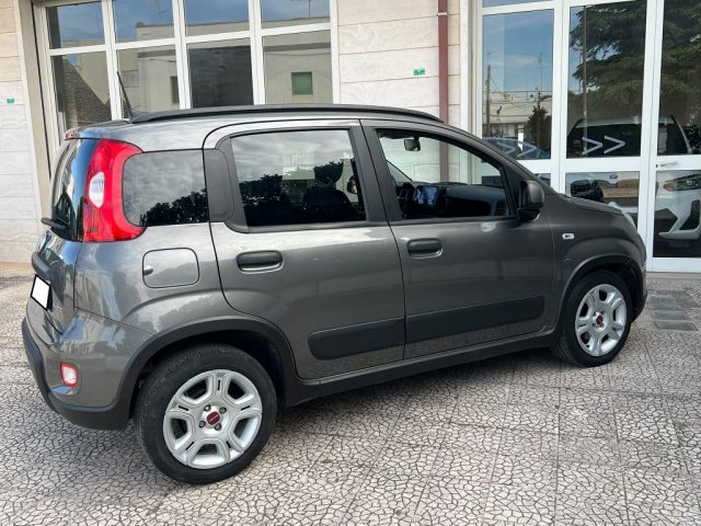FIAT Panda usata 21