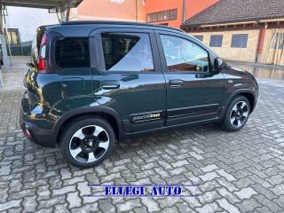 FIAT Pandina usata, con Antifurto