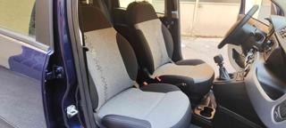 FIAT Panda usata, con Fendinebbia
