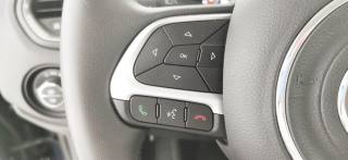 JEEP Renegade usata 67
