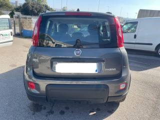 FIAT Panda usata 3
