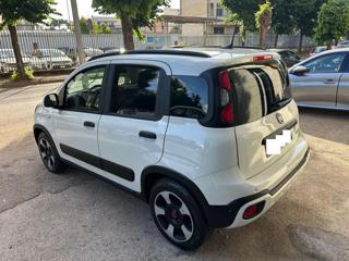 FIAT Panda Cross usata, con Airbag testa