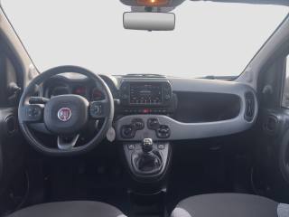FIAT Panda usata 12