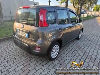 FIAT Panda usata, con Airbag Passeggero