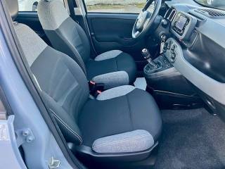 FIAT Panda usata, con Controllo trazione