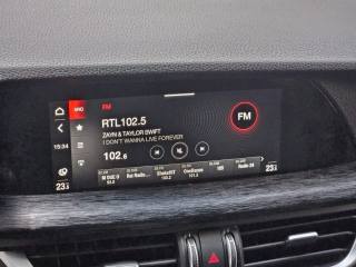 ALFA ROMEO Stelvio usata, con Cronologia tagliandi