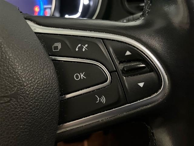 RENAULT Scenic usata, con Specchietti laterali elettrici